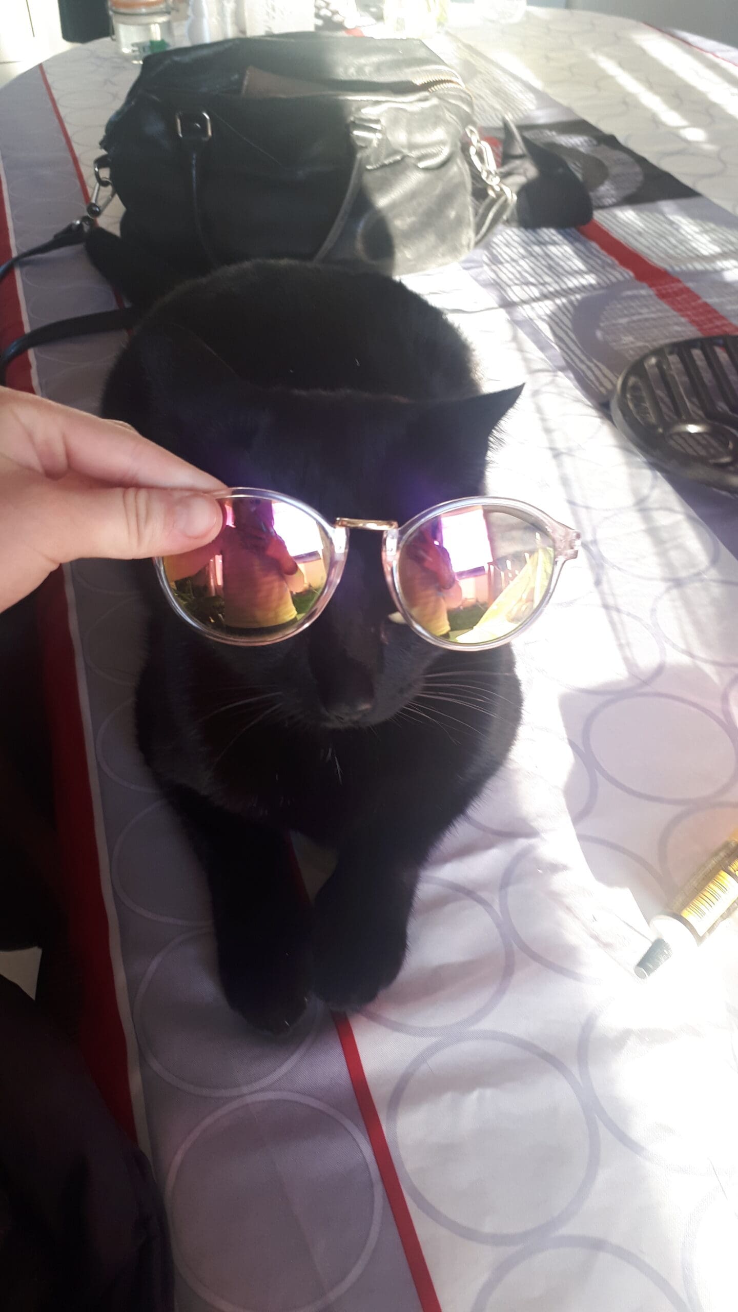 chat star