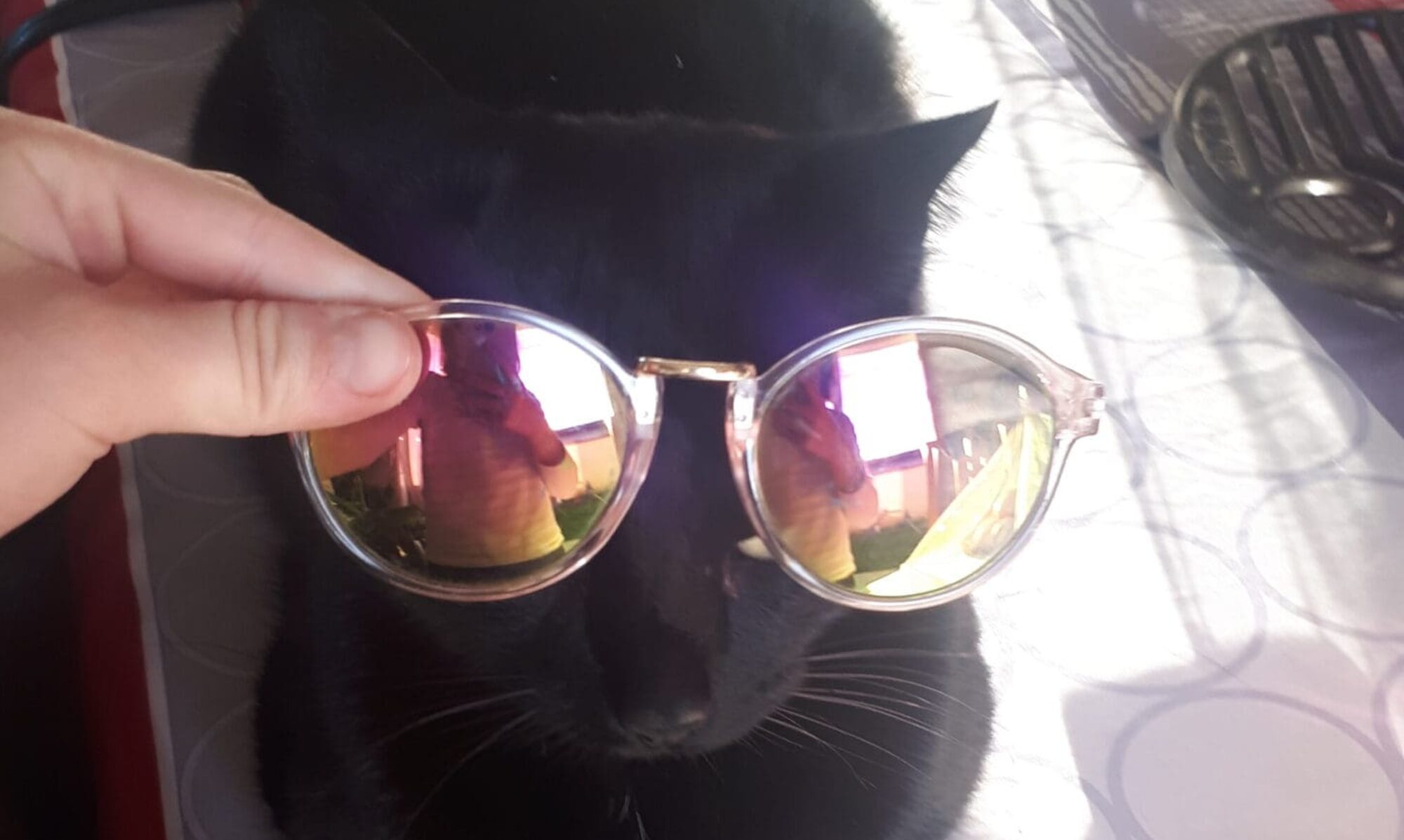 chat star