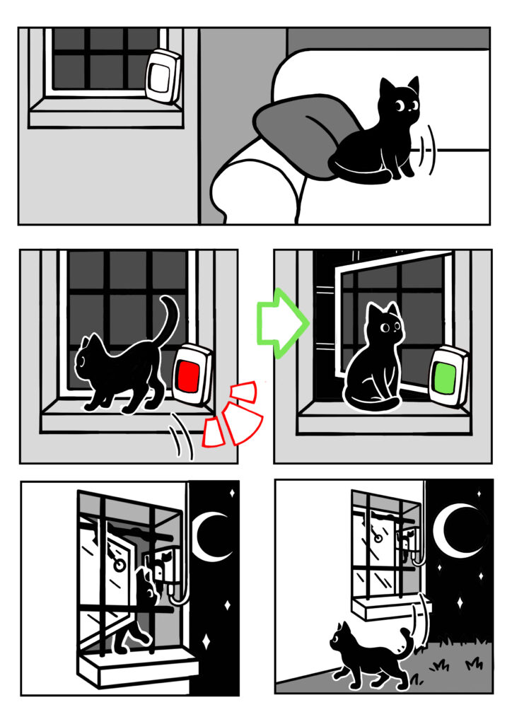 Le chat sort avec sa chatiere windocat