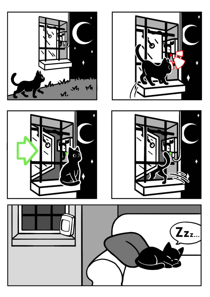Le chat rentre avec sa chatiere windocat