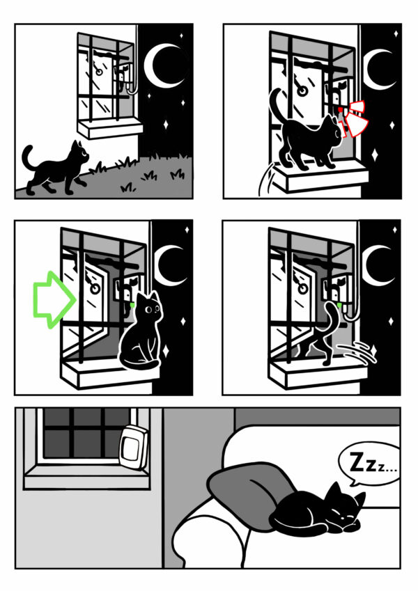 Le chat rentre avec sa chatiere windocat